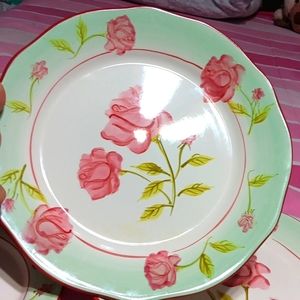 Fine Dining Plates & Saucers From Rose Garden Collection  New